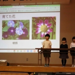 11.2学習発表会 (2).JPG